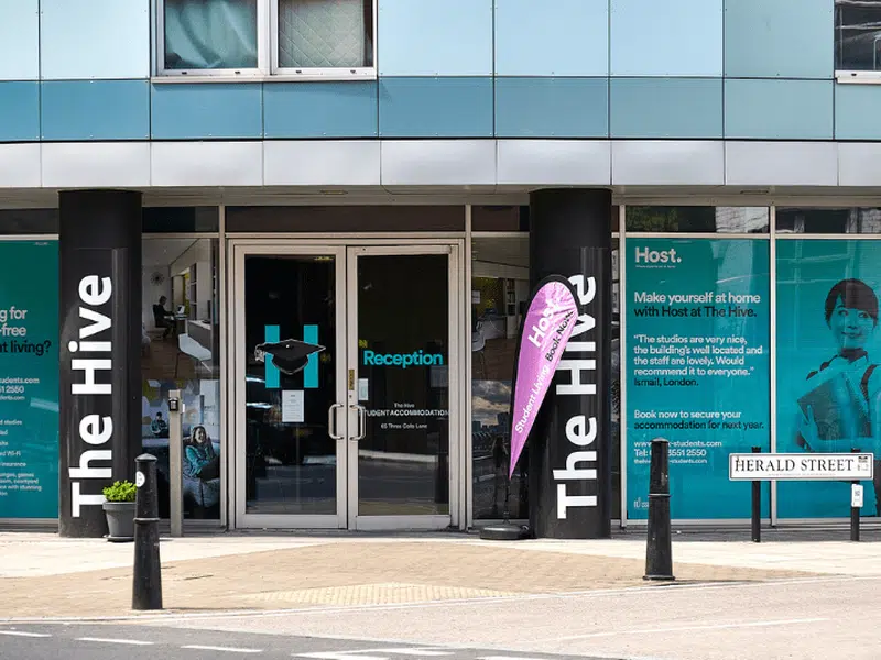 The Hive, London photo 7