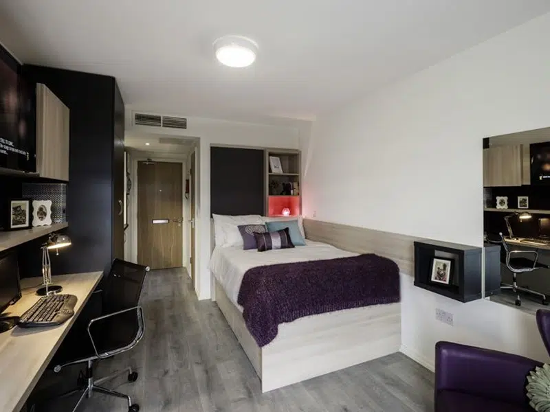 The Lyra, London photo 1
