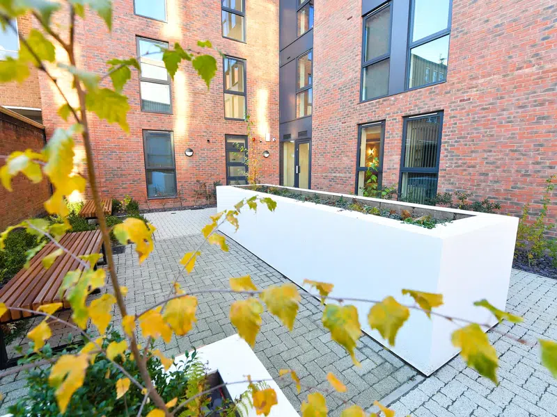 The Orchard, Leicester photo 15