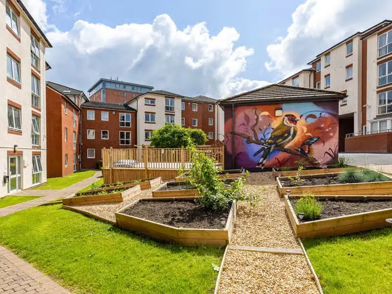 Trinity Student Village, Preston photo 21