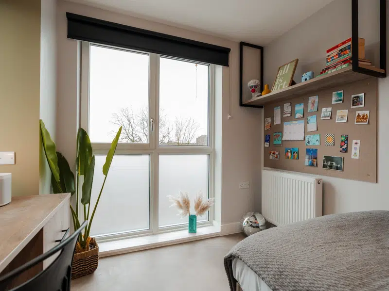 YourTRIBE South Bermondsey, London photo 7