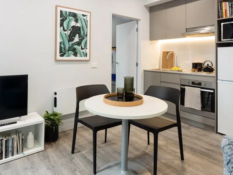 1 Bedroom Apartment photo 2