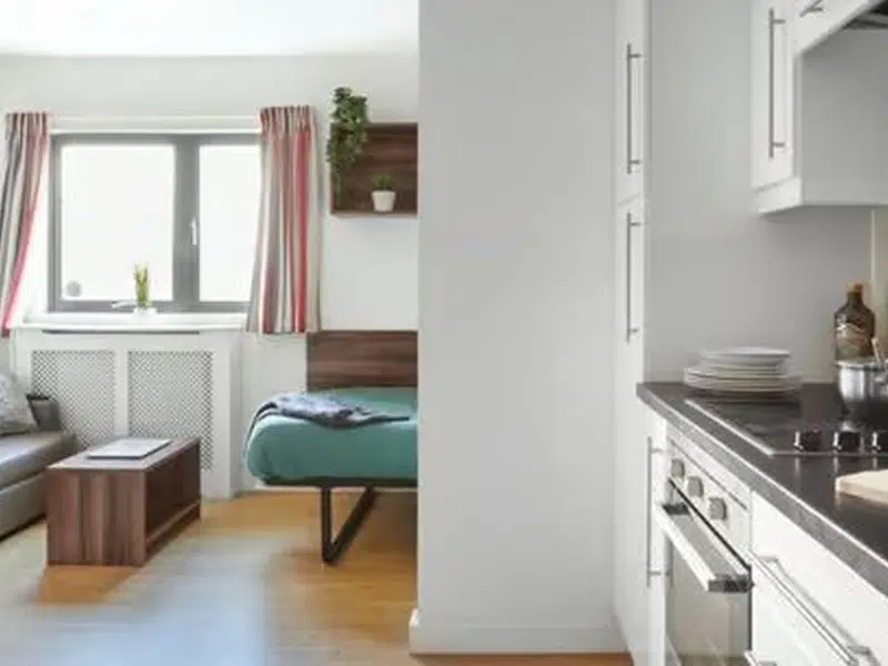 1 Bedroom Apartment photo 2