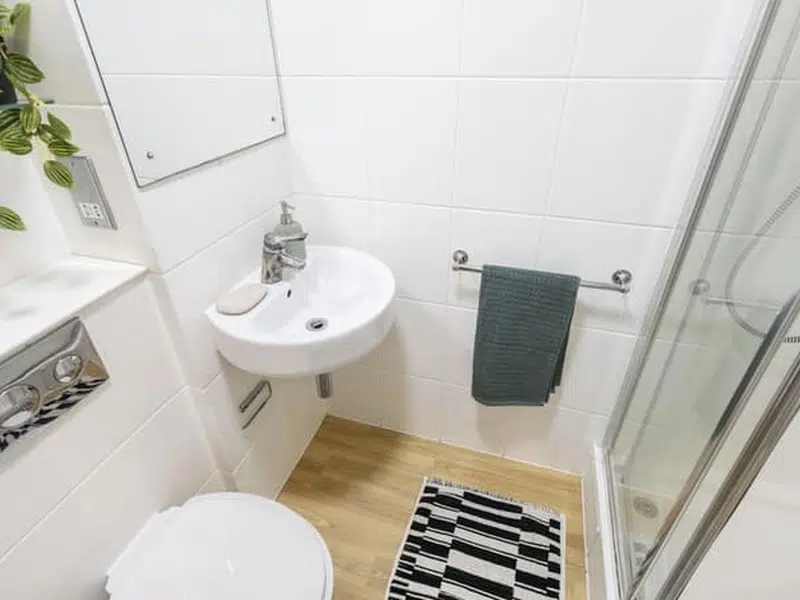 2 Bed En-Suite Flat photo 5