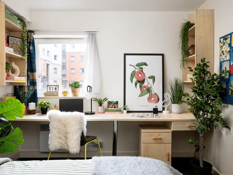 2 Bed Flat photo 3