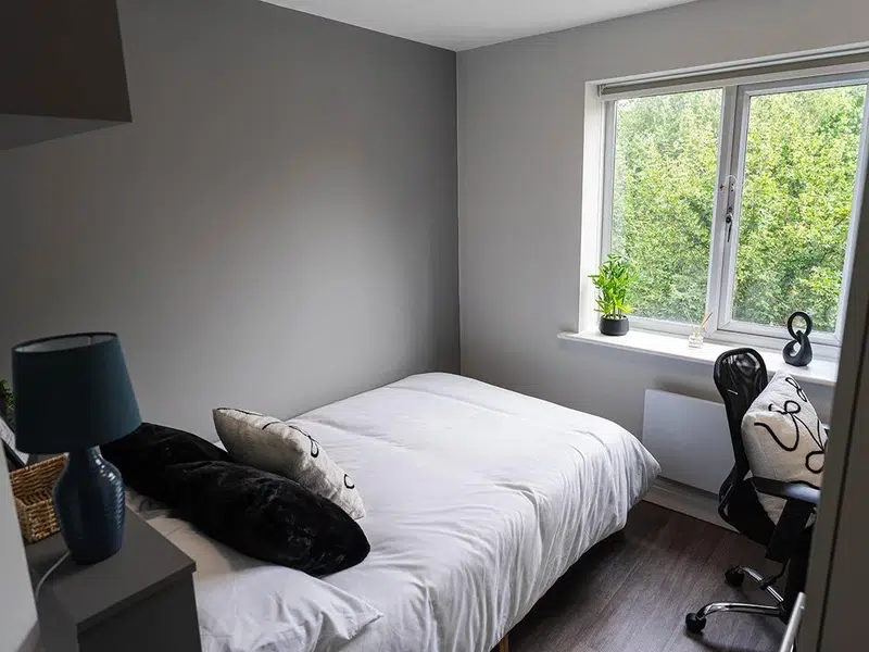 Hamsell Court - Bronze Ensuite photo 2