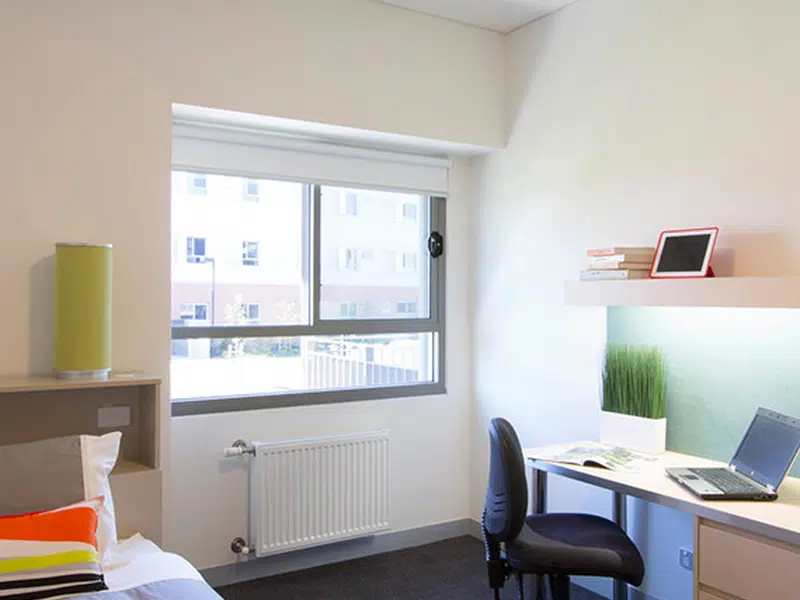 4 Bdrm Apt photo 3