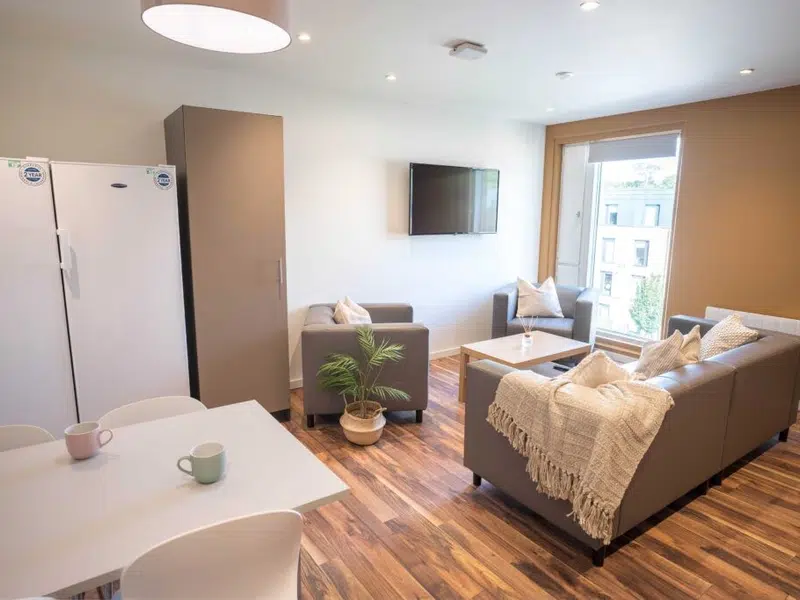 4 Bed Apartment photo 5