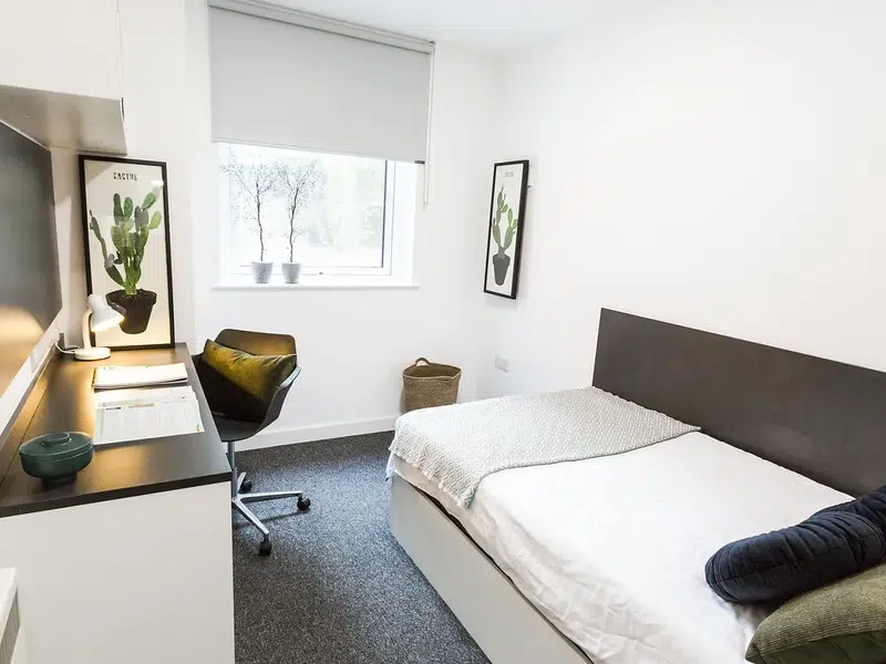 4-Bed Cluster Ensuite photo 1