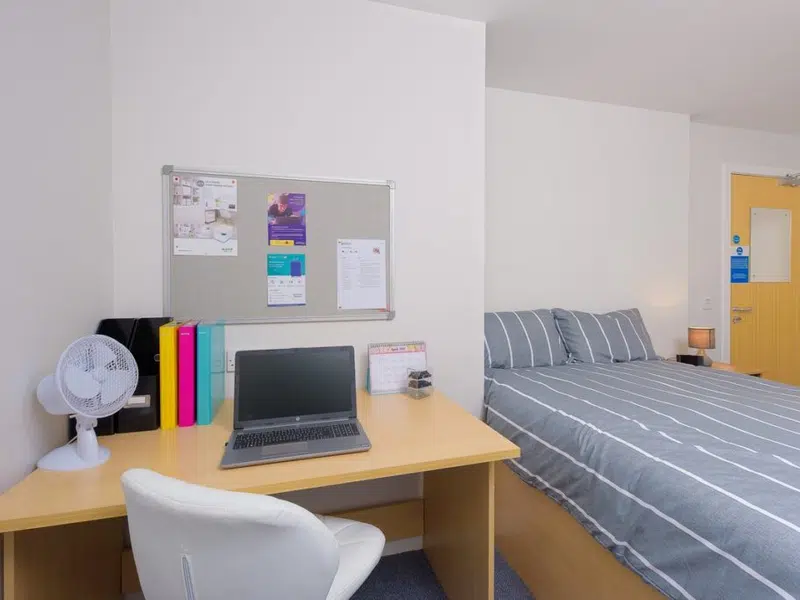 Single Bed photo 1