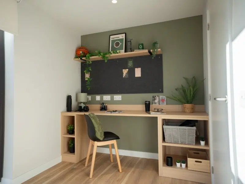 Accessible Ensuite photo 6