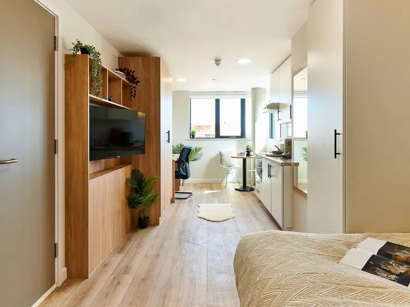 Accessible Platinum Studio Plus photo 1