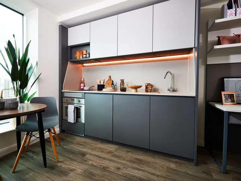Accessible Room photo 6