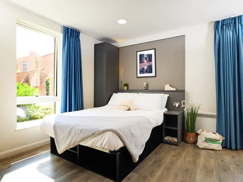 Accessible Room photo 4