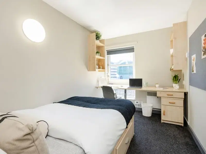 Basic Plus Ensuite photo 2