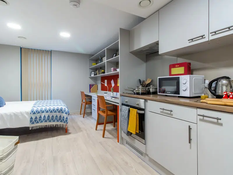 Platinum Deluxe Studio Floors 7-10 photo 5