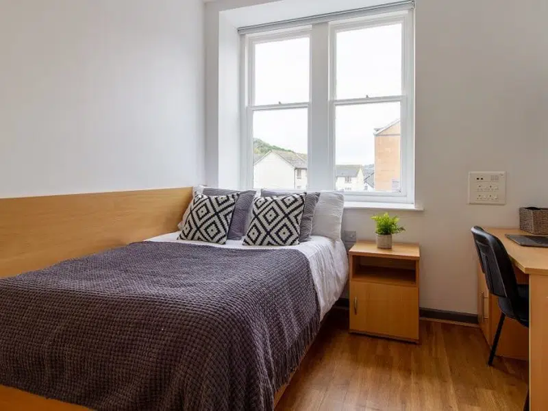 Bronze Double Room photo 4