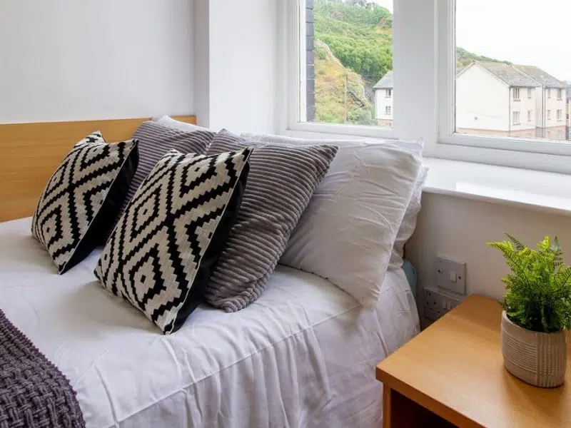 Bronze Double Room photo 2