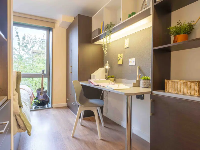 Bronze En-Suite photo 6