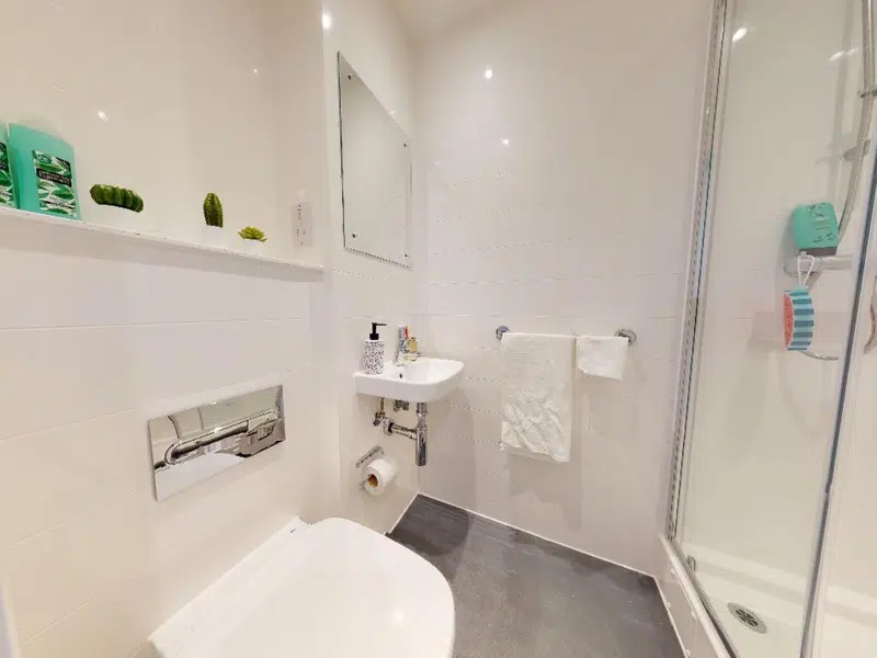 Bronze En-suite photo 2