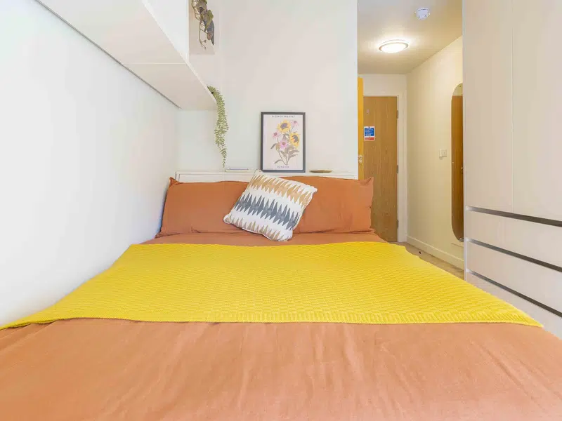 Bronze En Suite photo 3