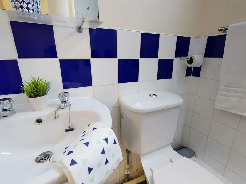 Bronze En Suite photo 5