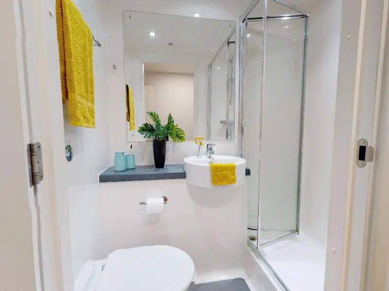 Bronze En Suite photo 4