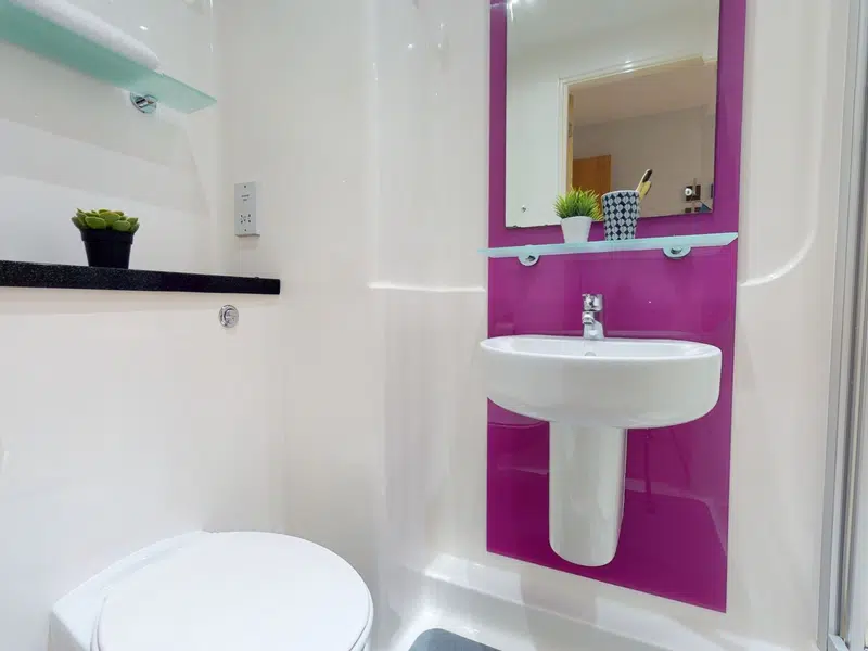 Bronze En Suite photo 5