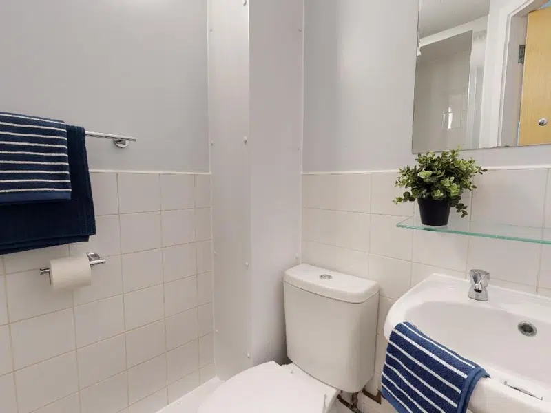 Bronze En Suite photo 5
