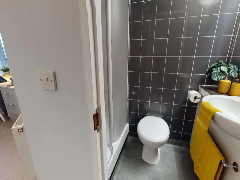 Bronze En Suite photo 4