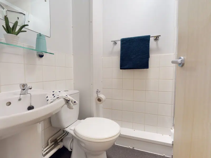 Bronze En Suite photo 4