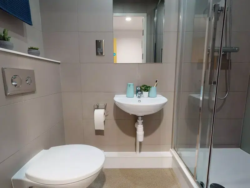 Bronze En Suite photo 5