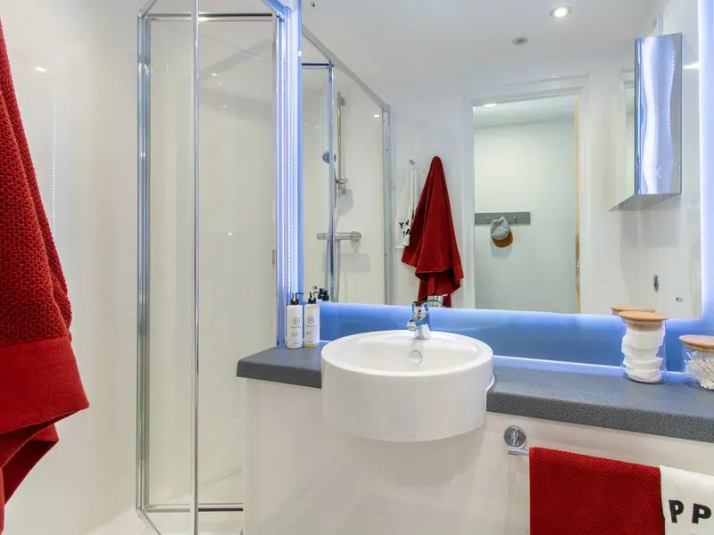 Bronze En Suite photo 5