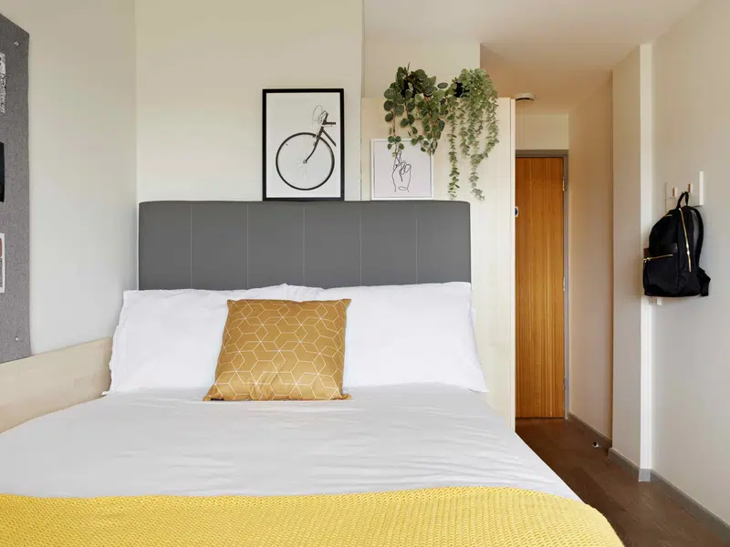 Bronze Ensuite photo 2