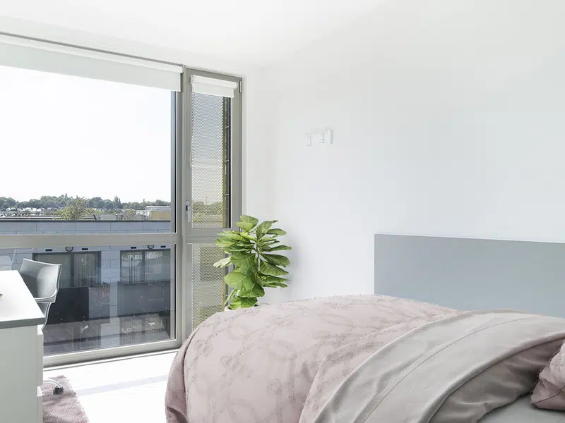 Gold En Suite photo 2