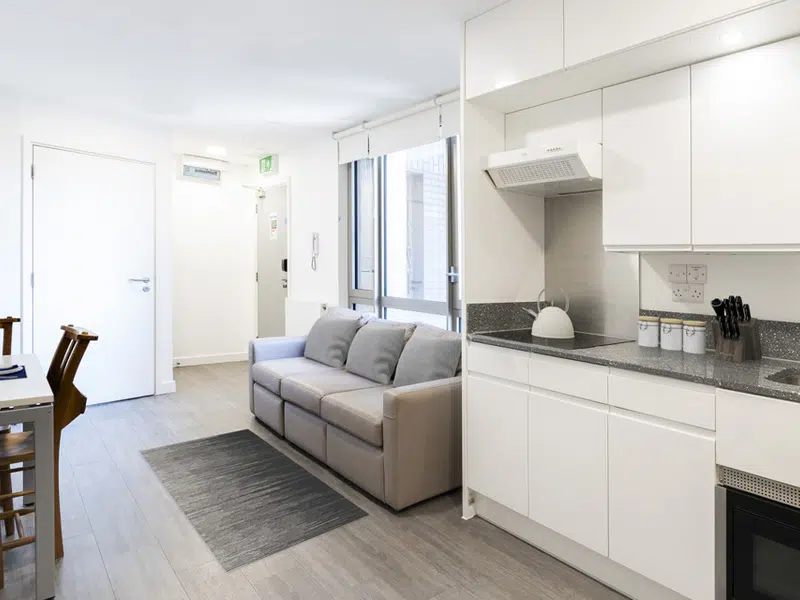 3 Bed Apartment photo 5