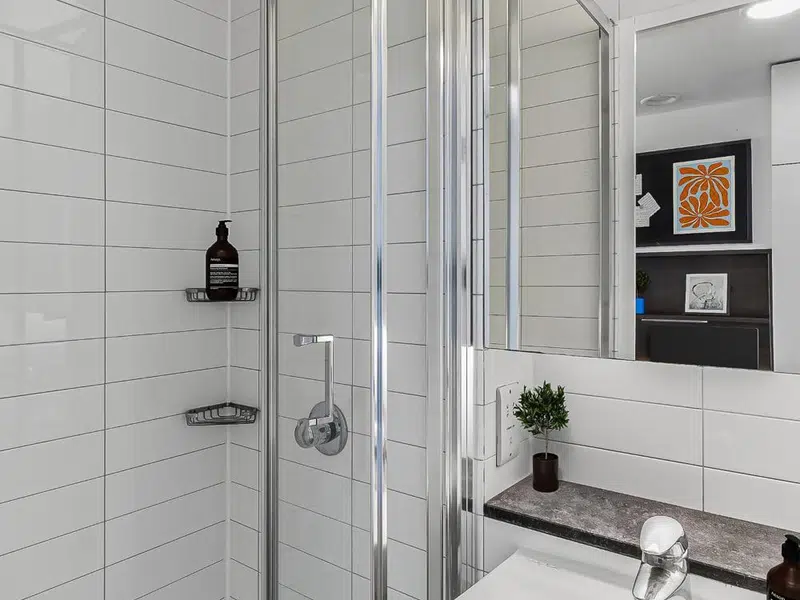 Bronze Ensuite photo 4
