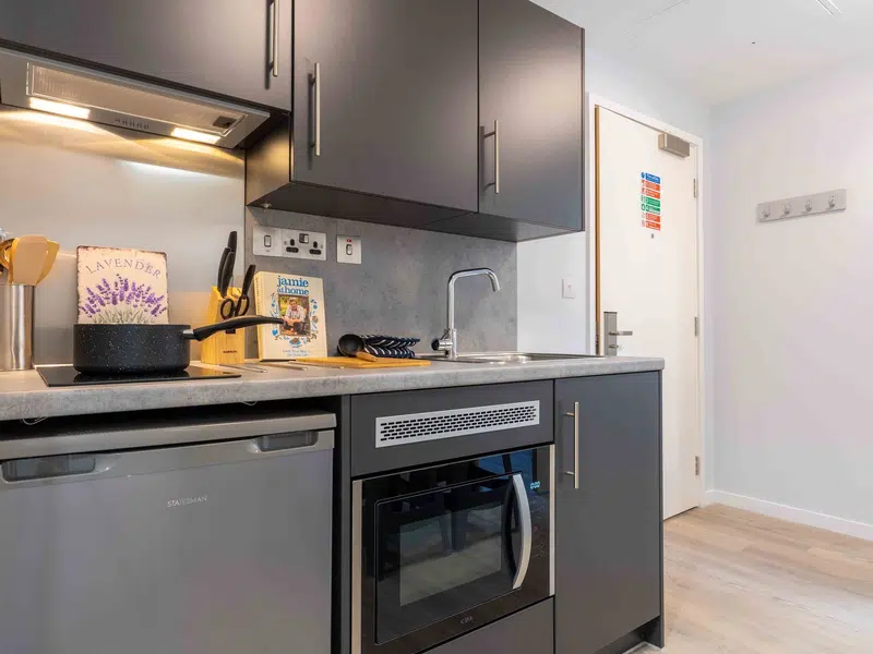 Bronze 1 Bed Apartment Plus photo 4