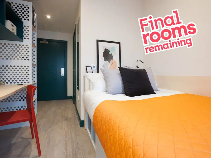 Bronze Plus En Suite photo 1