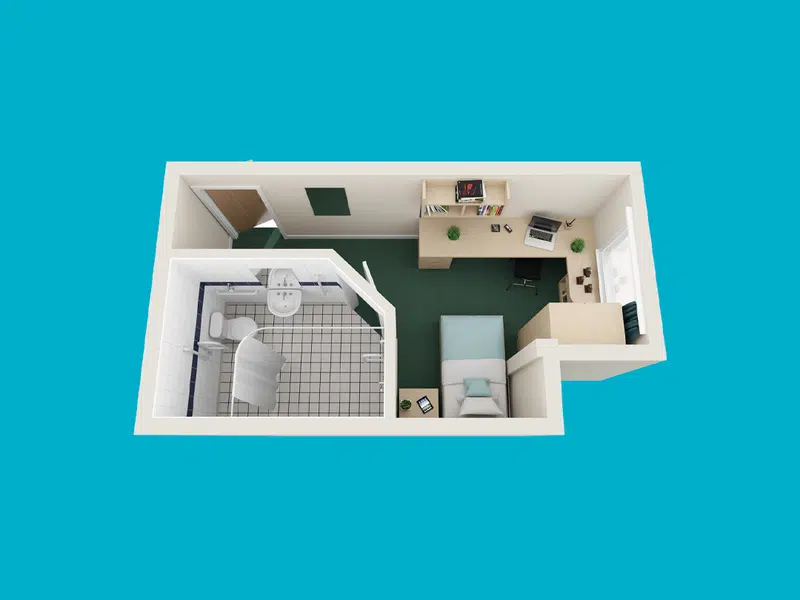 Bronze Plus Room (Single Bed) photo 4
