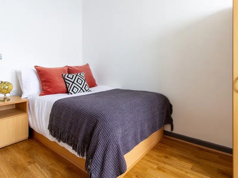 Bronze Plus Single Room photo 1