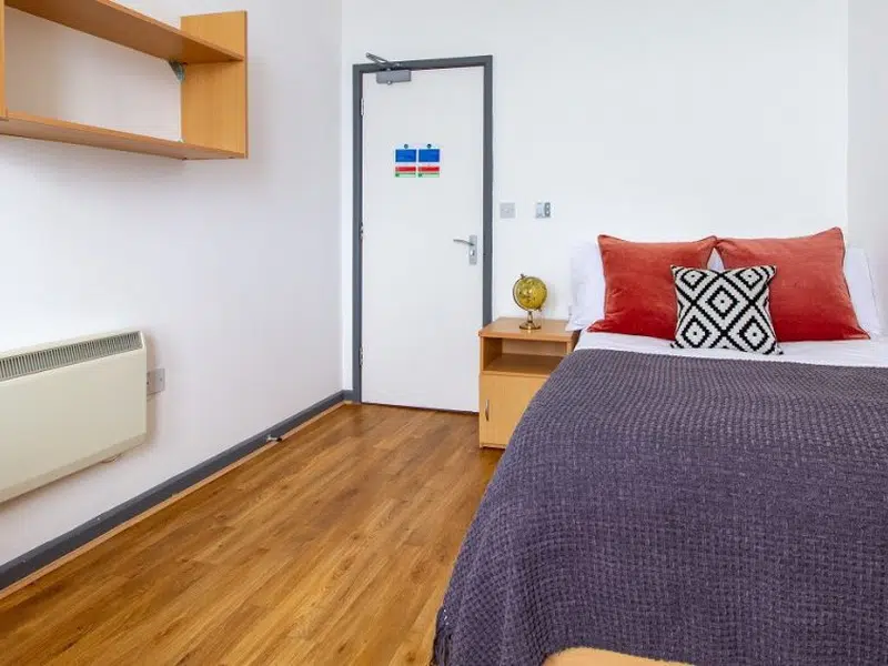 Bronze Plus Single Room photo 4