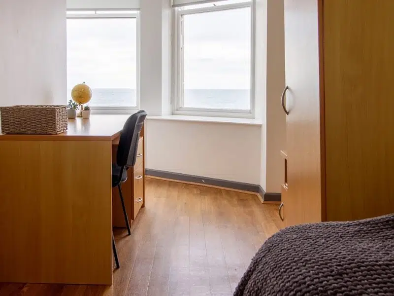 Bronze Plus Single Room photo 3