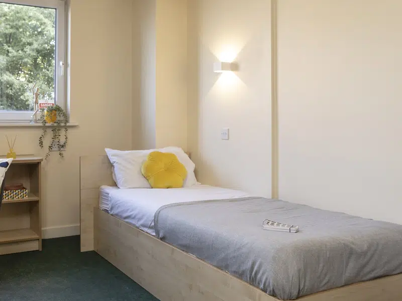 Bronze Room (Single Bed) photo 1