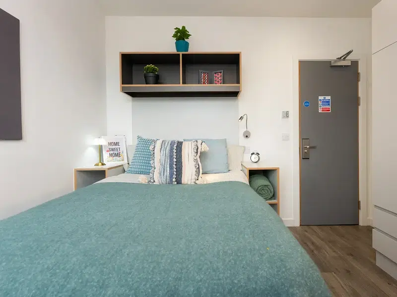 Bronze Shared House photo 1