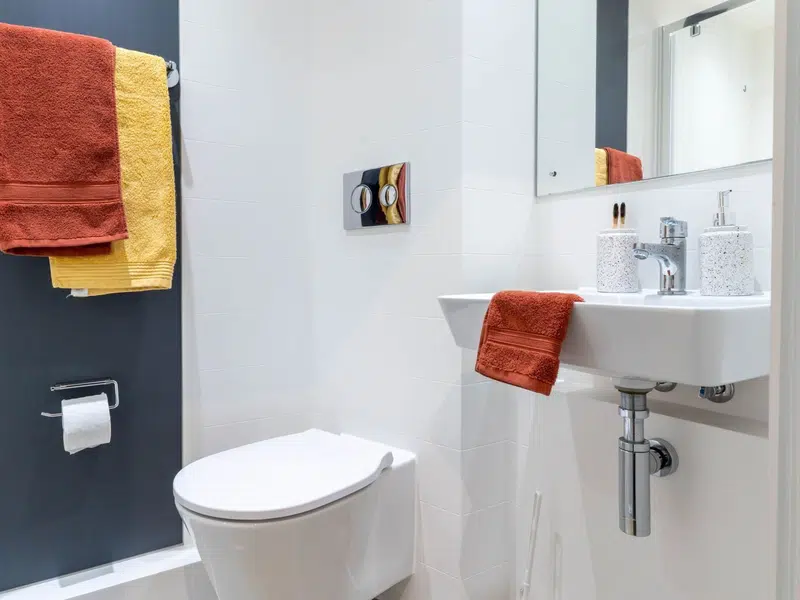 Bronze Ensuite photo 5