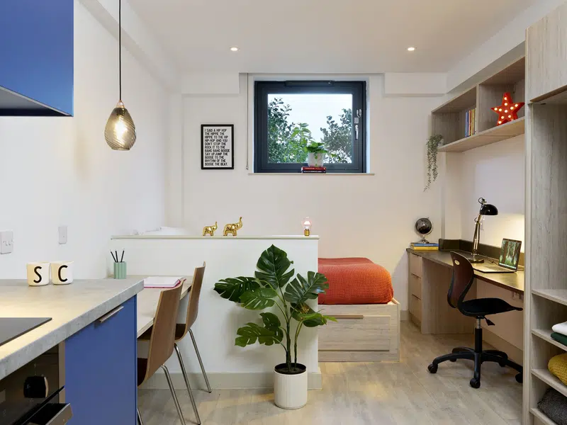Bronze Studio photo 1
