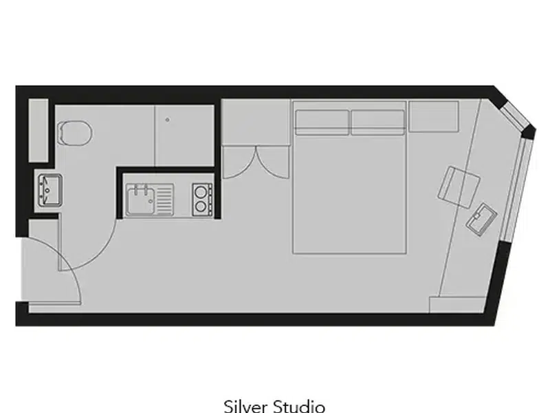 Silver Studio photo 5