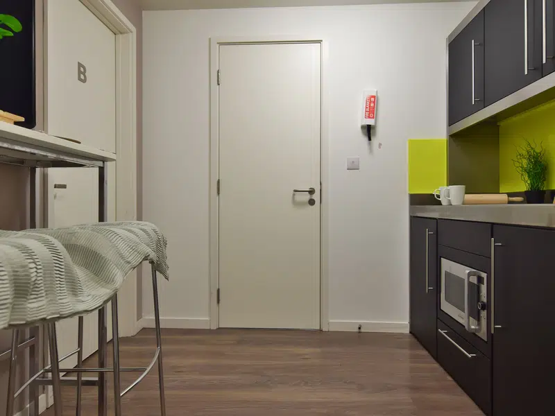 Bronze 2 Bed Apartment photo 6