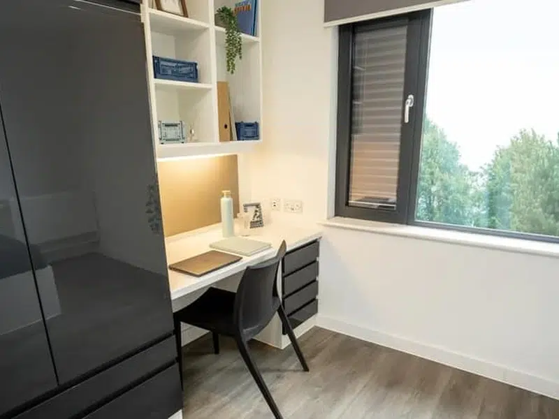Super Elite Studio - Dual Occupancy photo 3
